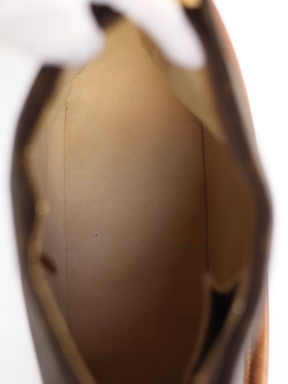 LOUIS VUITTON LOOP SHOULDER BAG