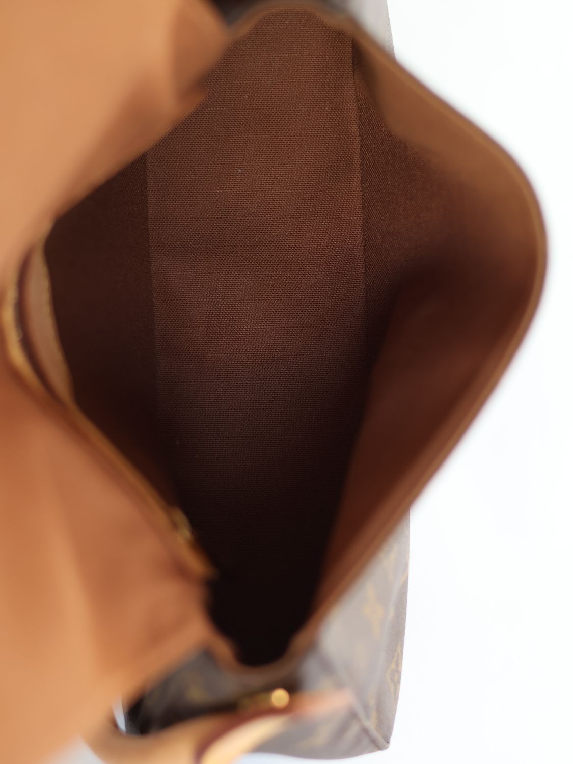 LOUIS VUITTON LOOP SHOULDER BAG