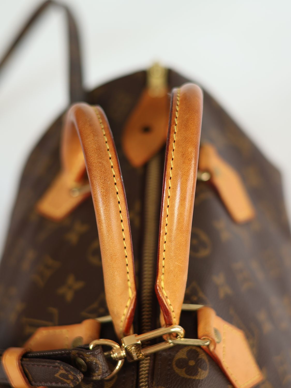 LOUIS VUITTON SPEEDY BAG