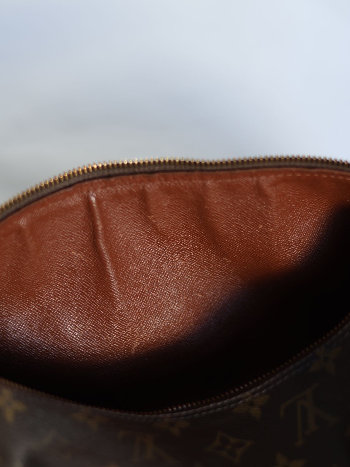 Louis Vuitton Papillon Bag