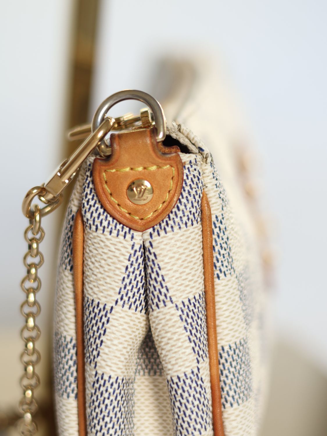 Louis Vuitton Eva Bag