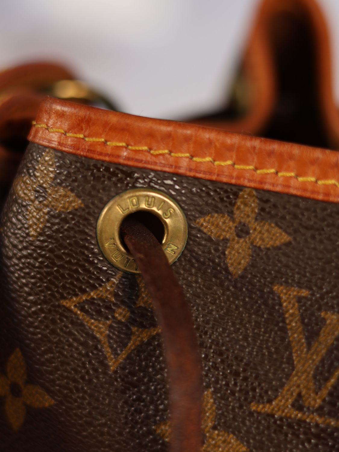 Louis Vuitton Petit Noé Bag