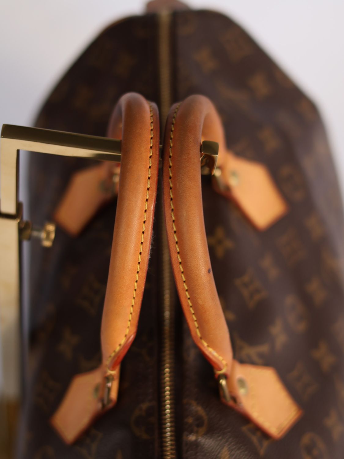 Louis Vuitton Speedy Monogram Bag