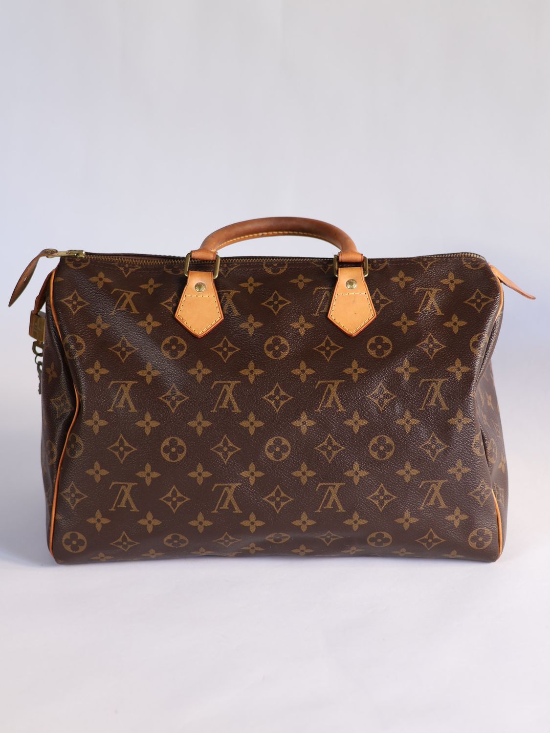 Louis Vuitton Speedy Monogram Bag