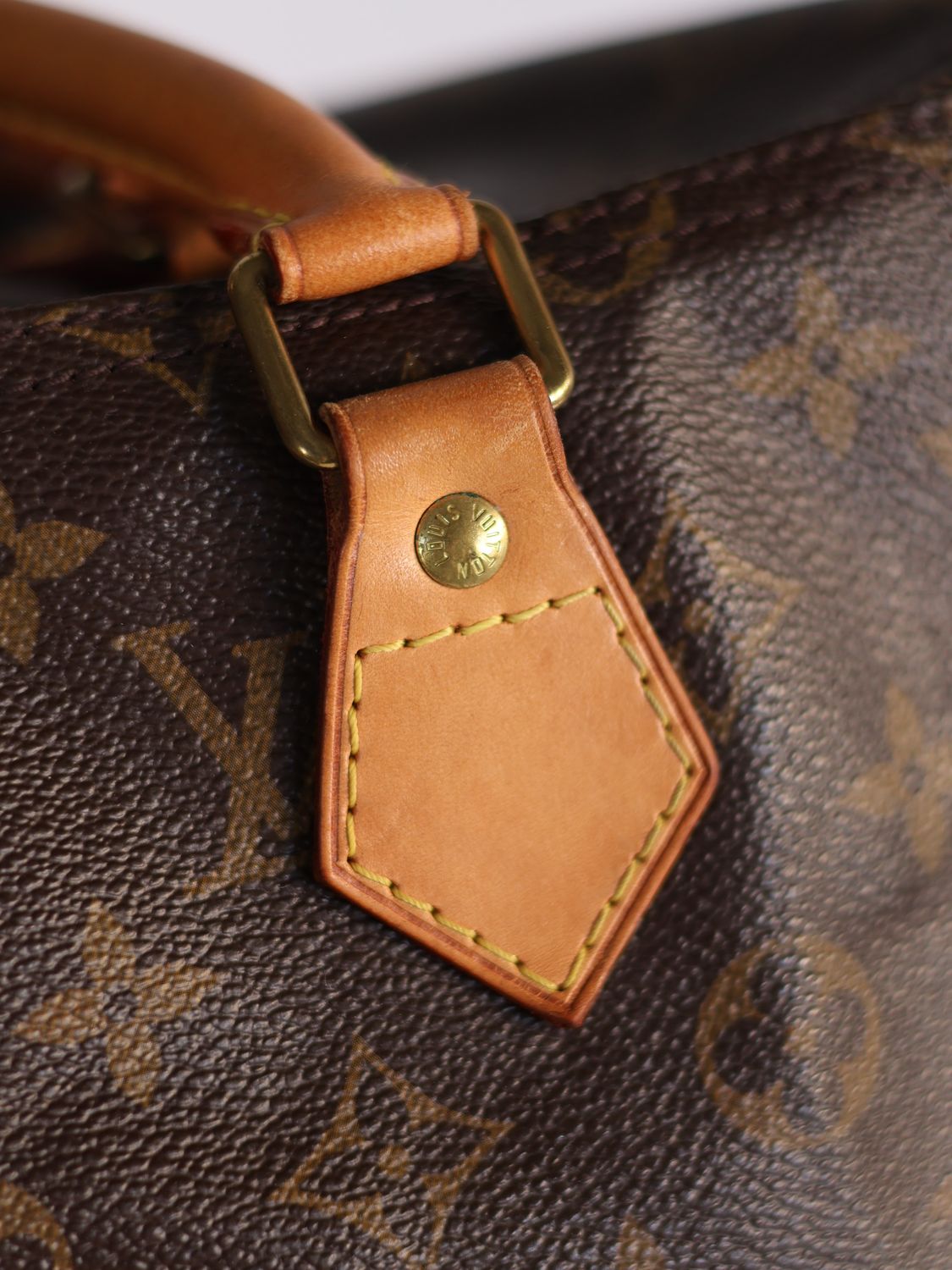 Louis Vuitton Speedy Monogram Bag