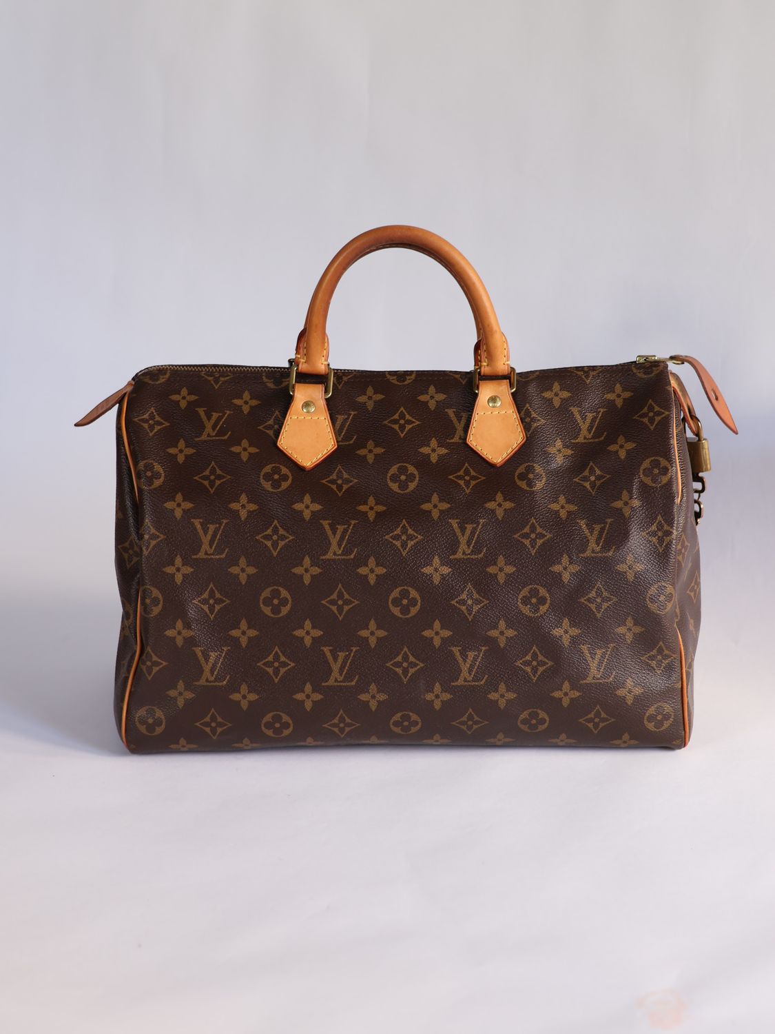 Louis Vuitton Speedy Monogram Bag