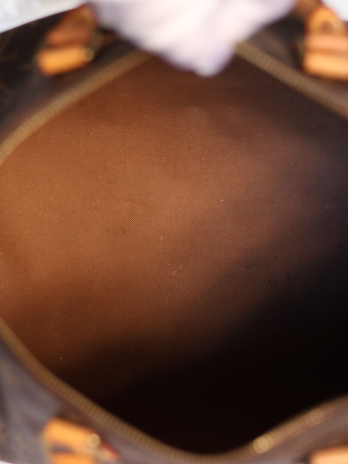 Louis Vuitton Speedy Monogram Bag