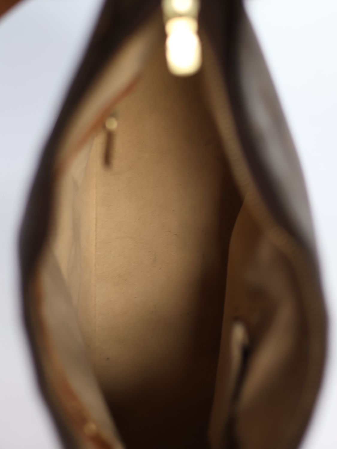 Louis Vuitton Loop GM Bag - 2001