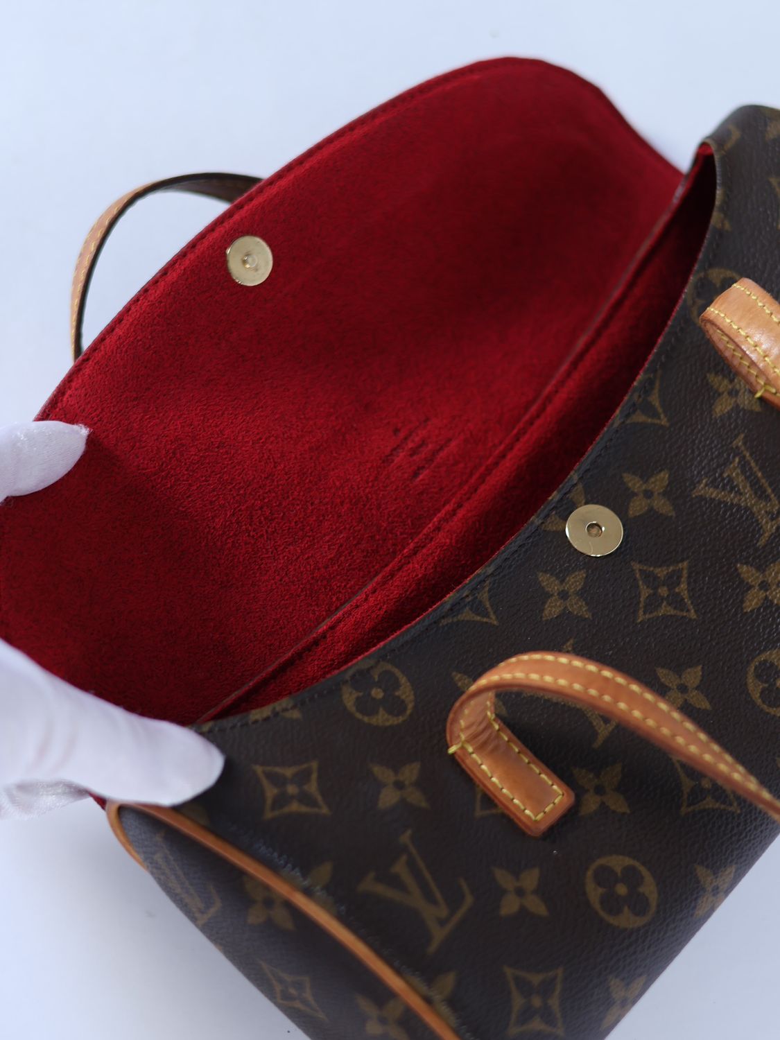 Louis Vuitton Sonatine Bag