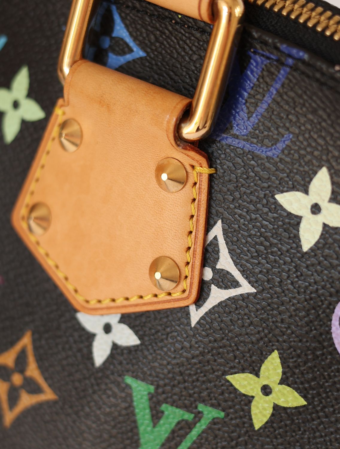 Louis Vuitton Alma Murakami Bag