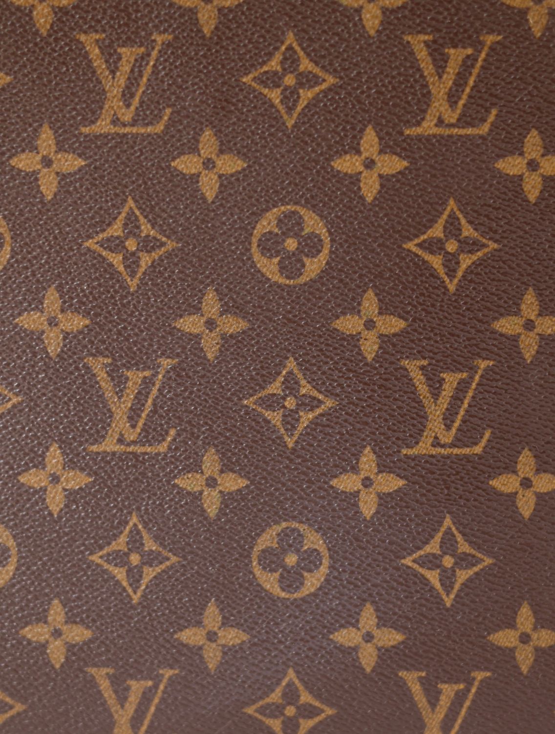 Louis Vuitton Luco Tote Bag