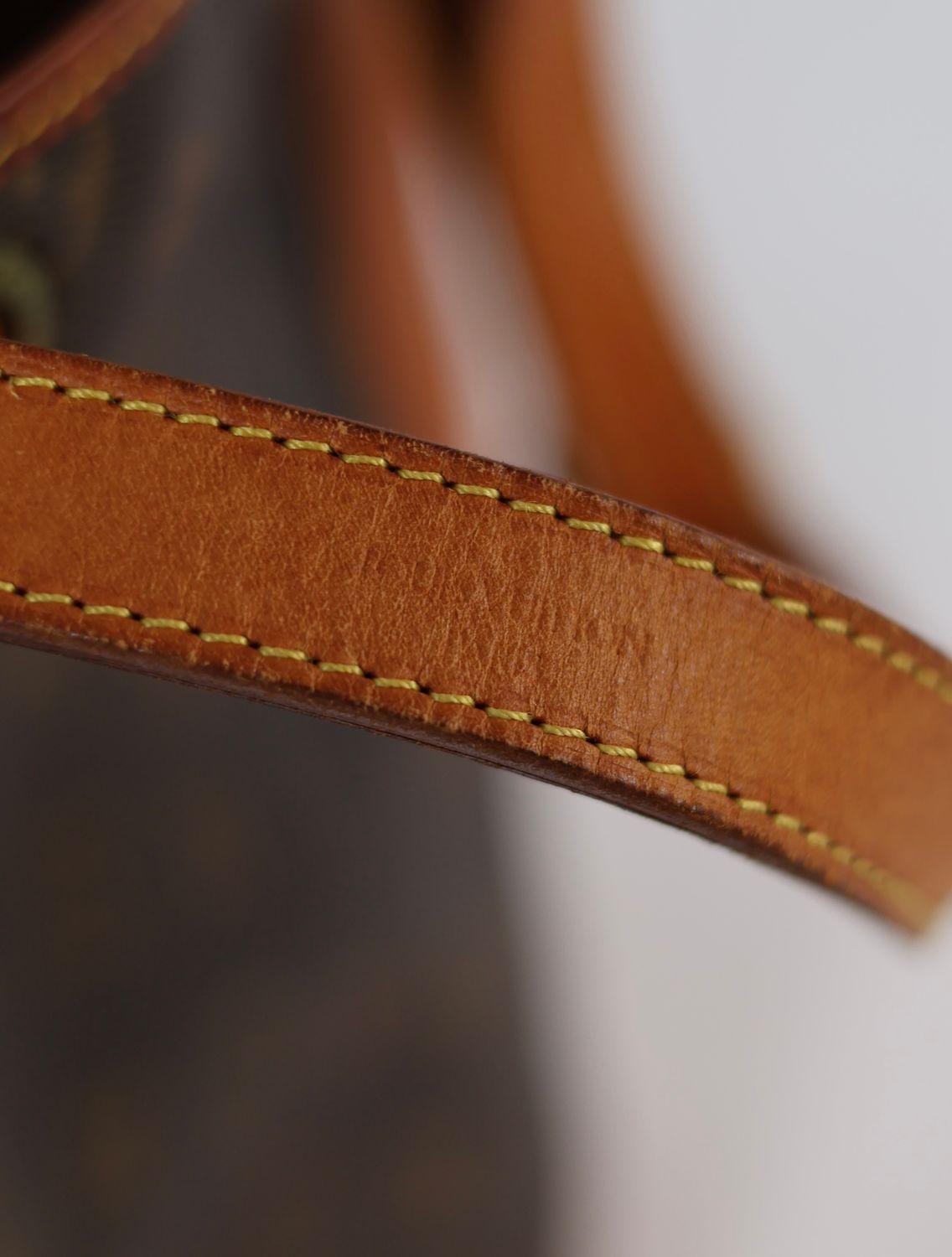 Louis Vuitton Noé Grand Bag