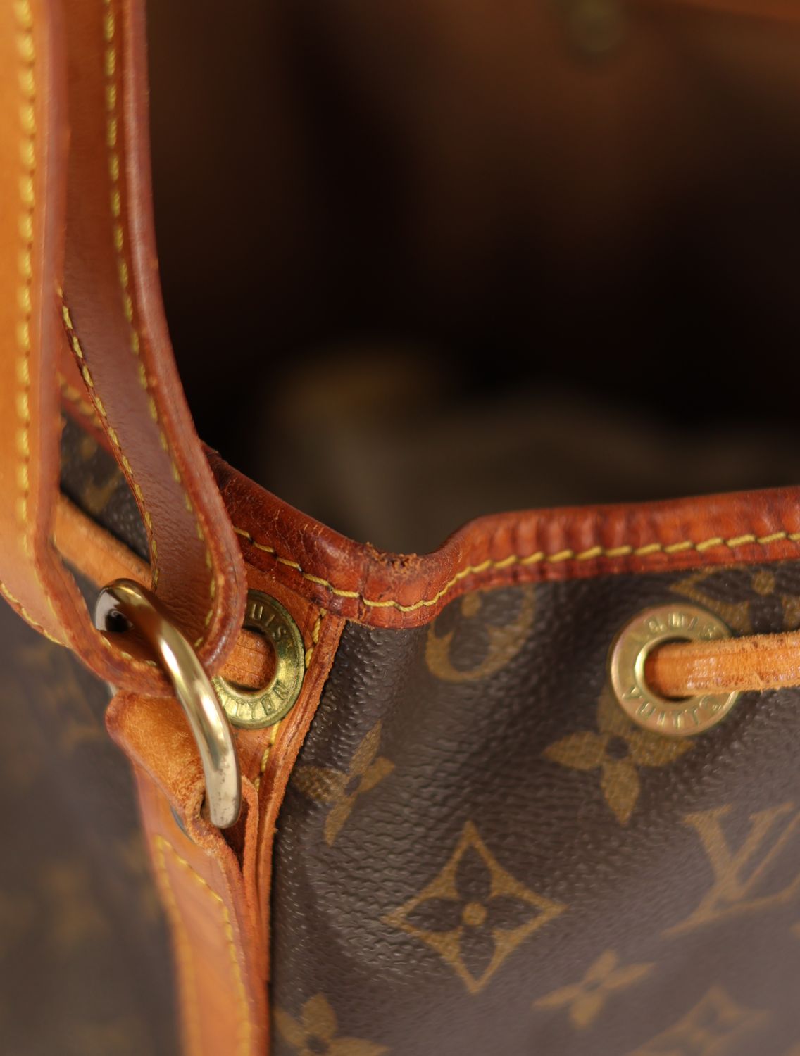 Louis Vuitton Noé Grand Bag