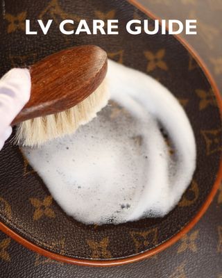 LV Care Guide
