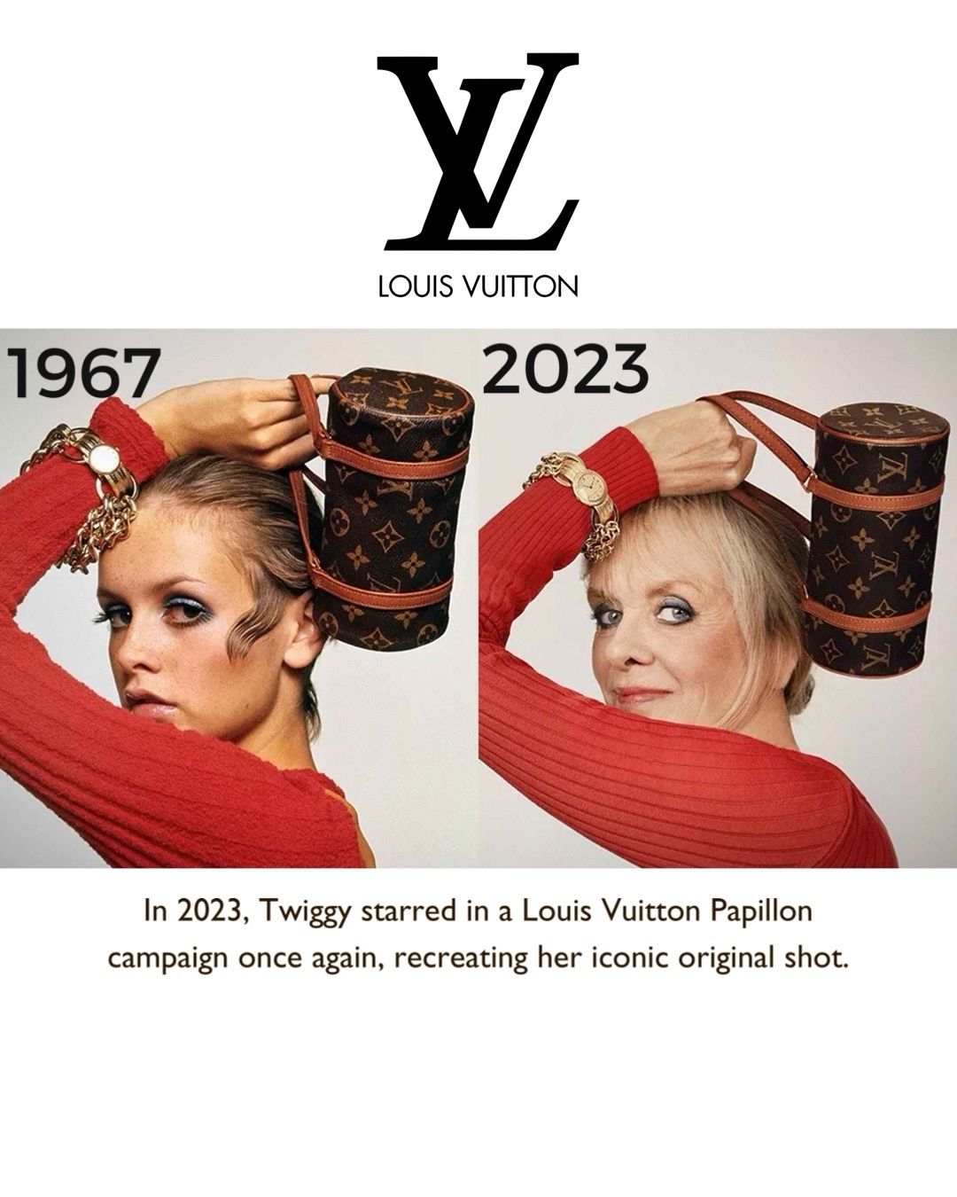 Louis Vuitton Papillon Damier Bag