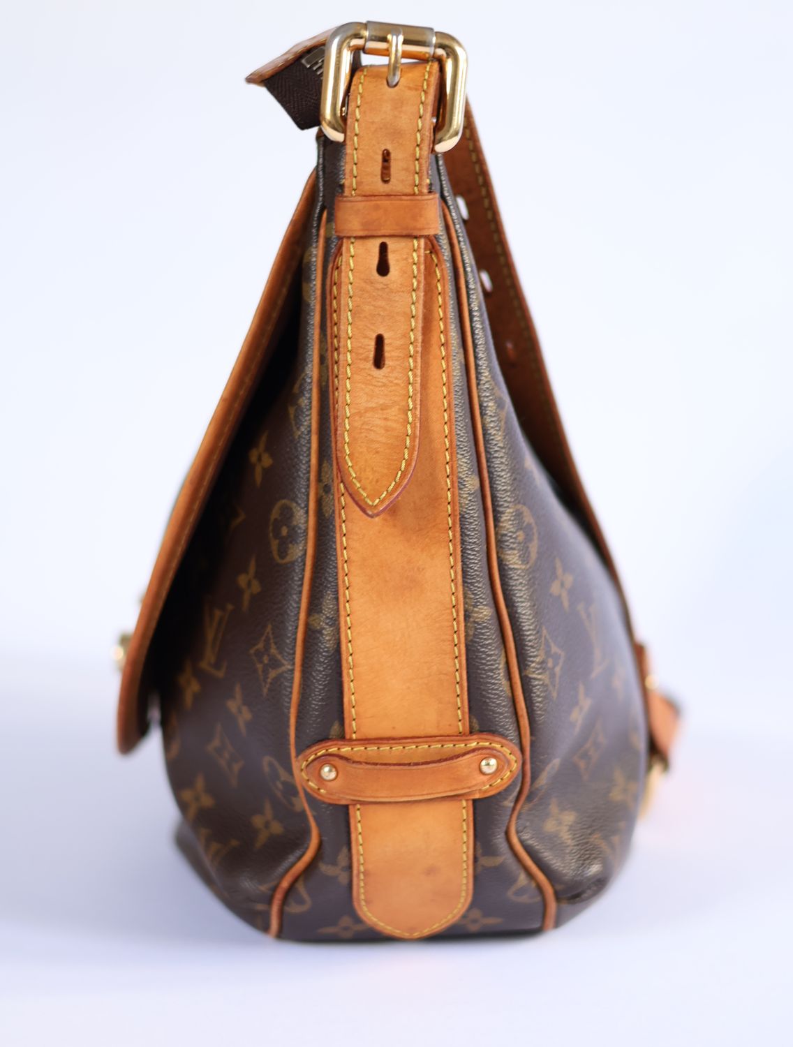 Louis Vuitton Tulum Grand Bag