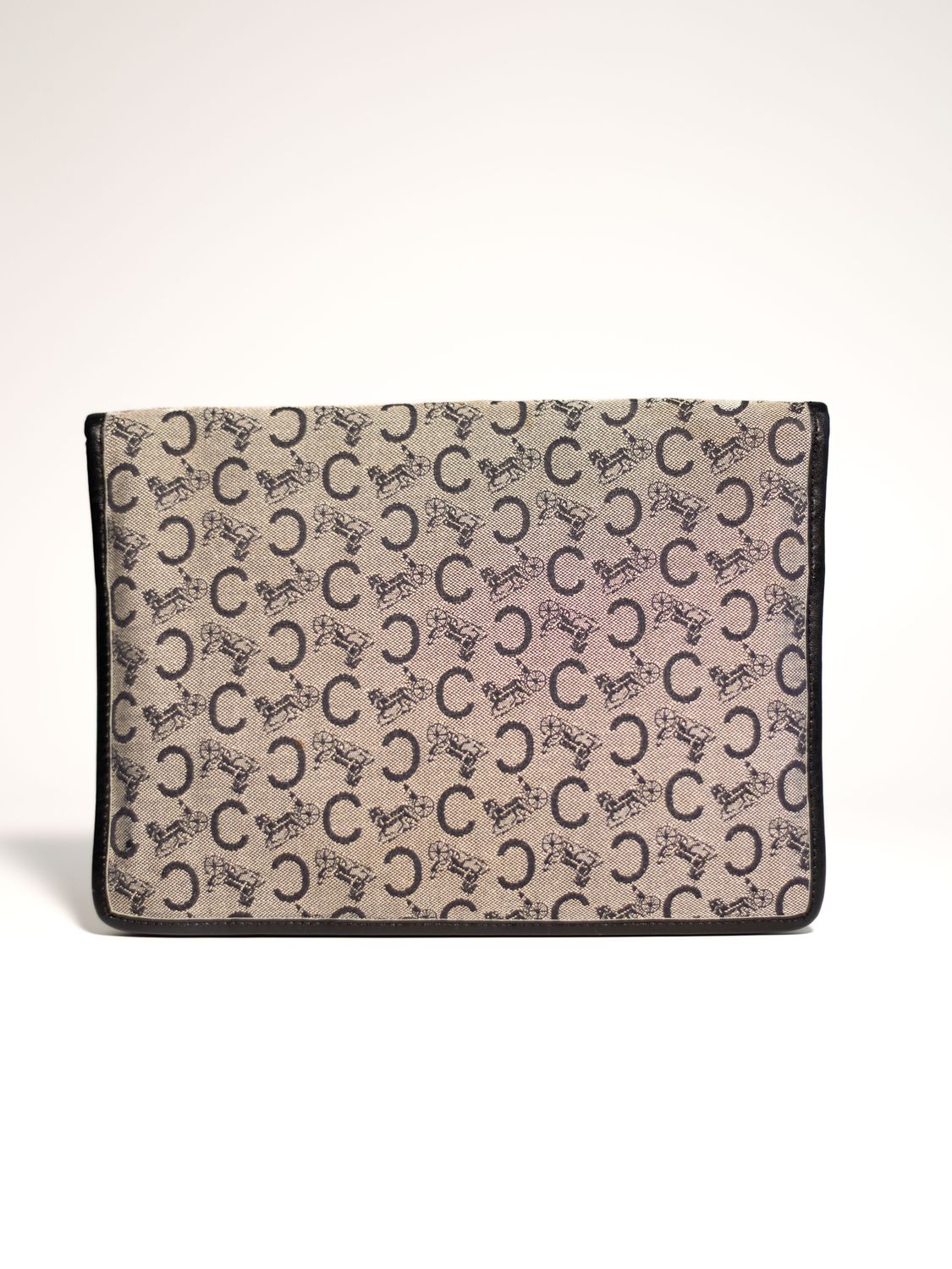 Celine Canvas Clutch