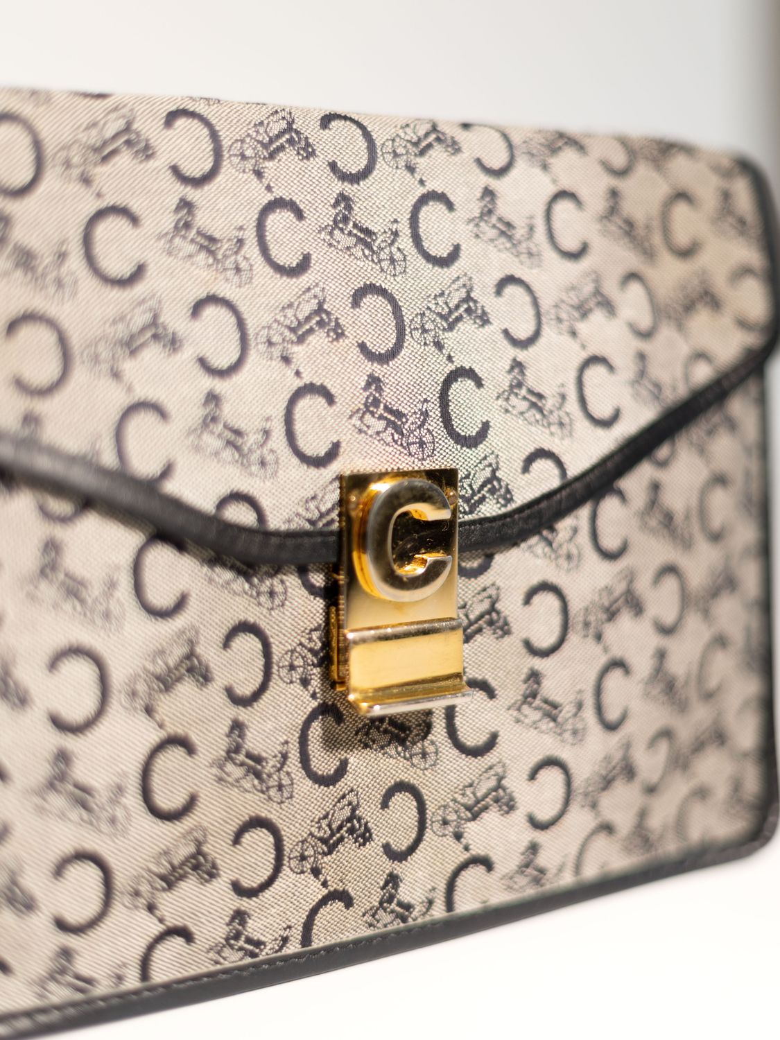 Celine Canvas Clutch