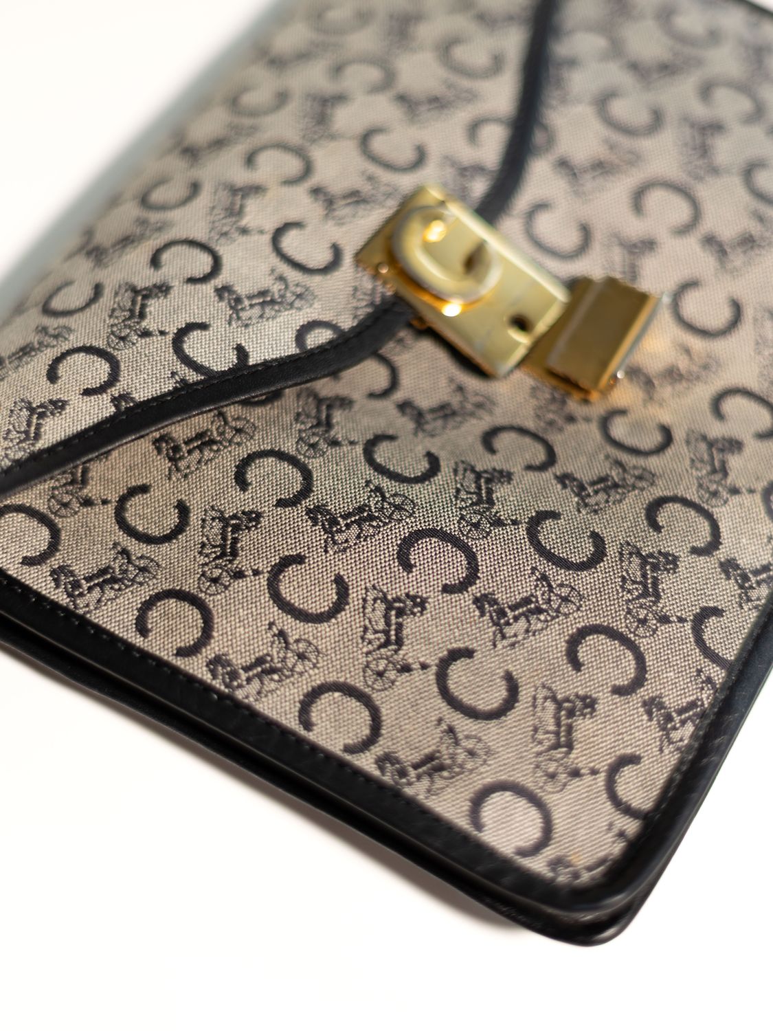 Celine Canvas Clutch