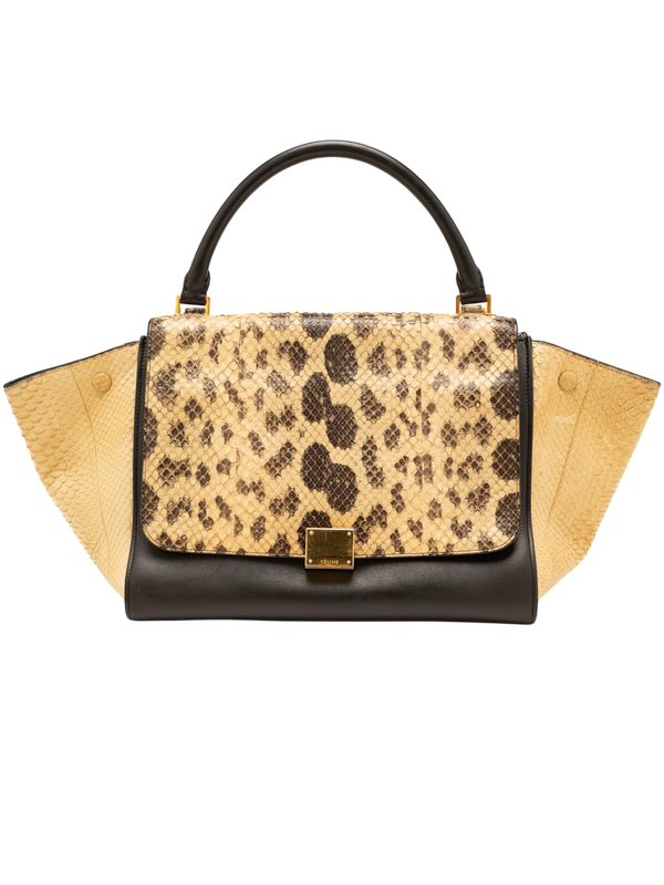 Céline Trapeze Python Bag