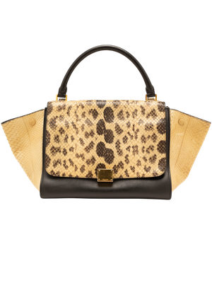 Céline Trapeze Python Bag