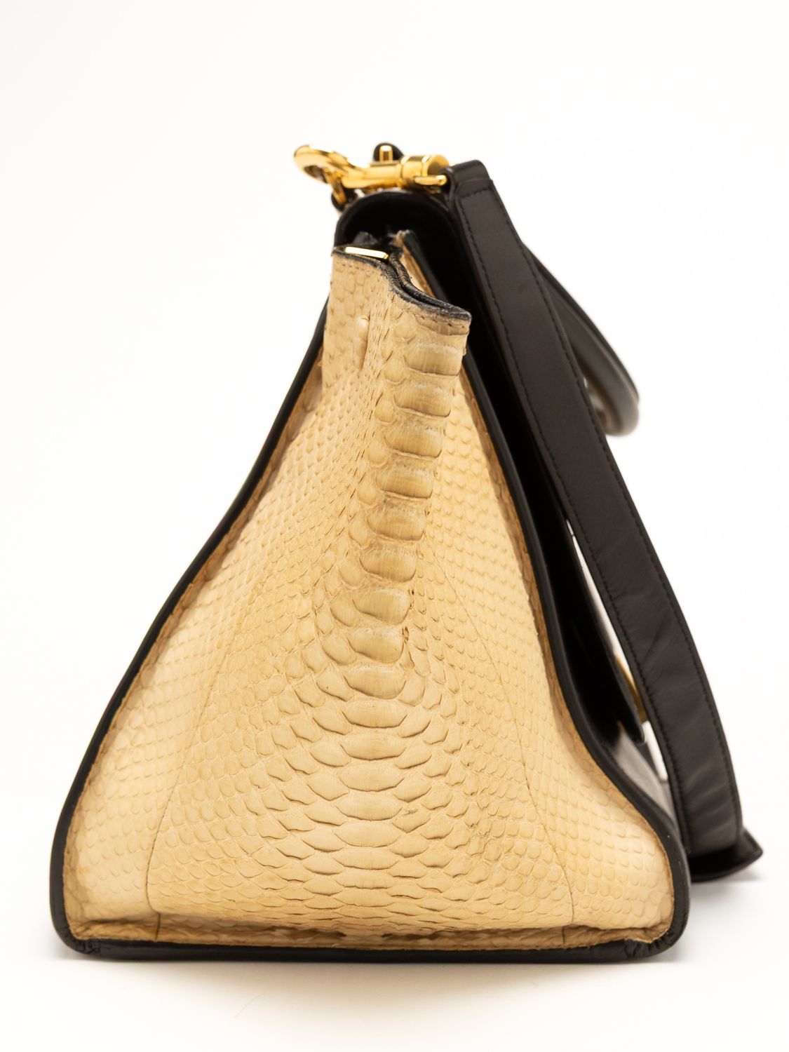 Céline Trapeze Python Bag