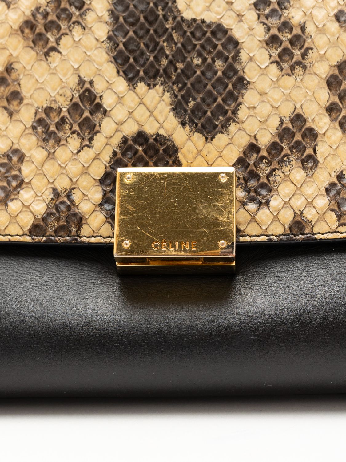 Céline Trapeze Python Bag