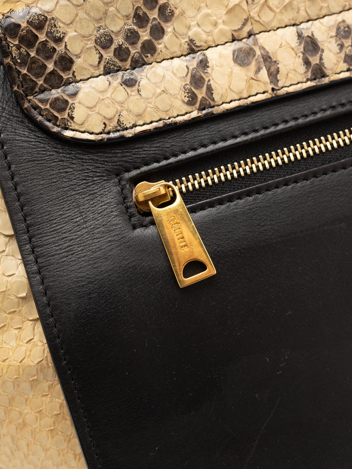 Céline Trapeze Python Bag