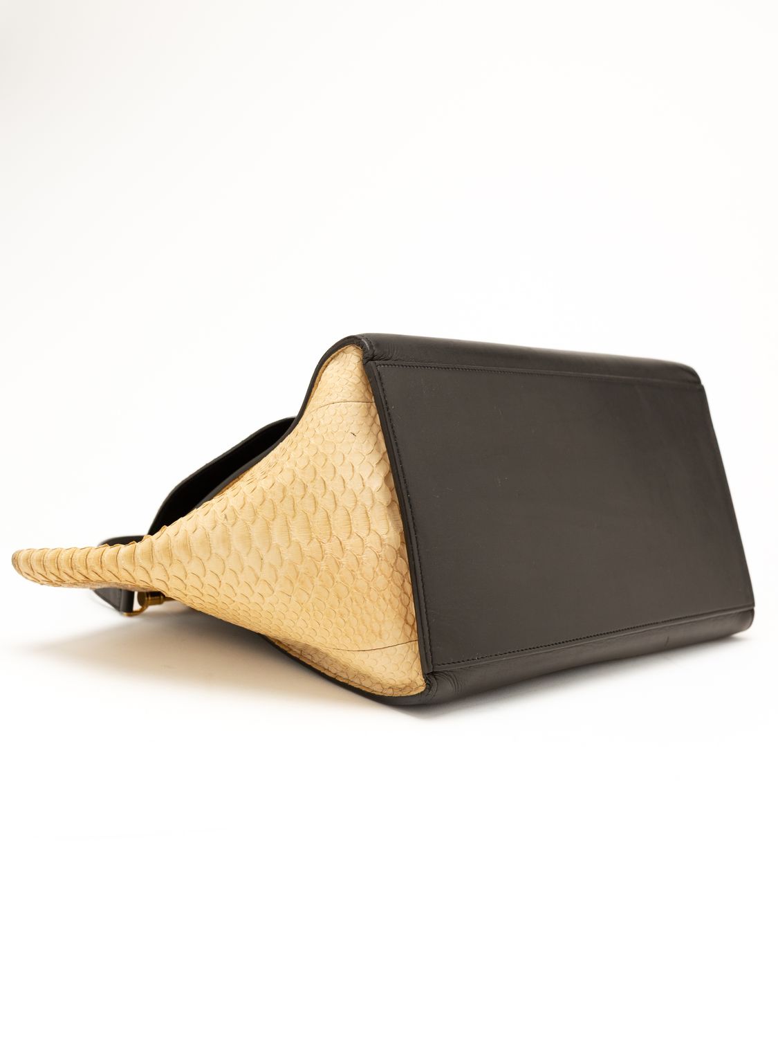 Céline Trapeze Python Bag