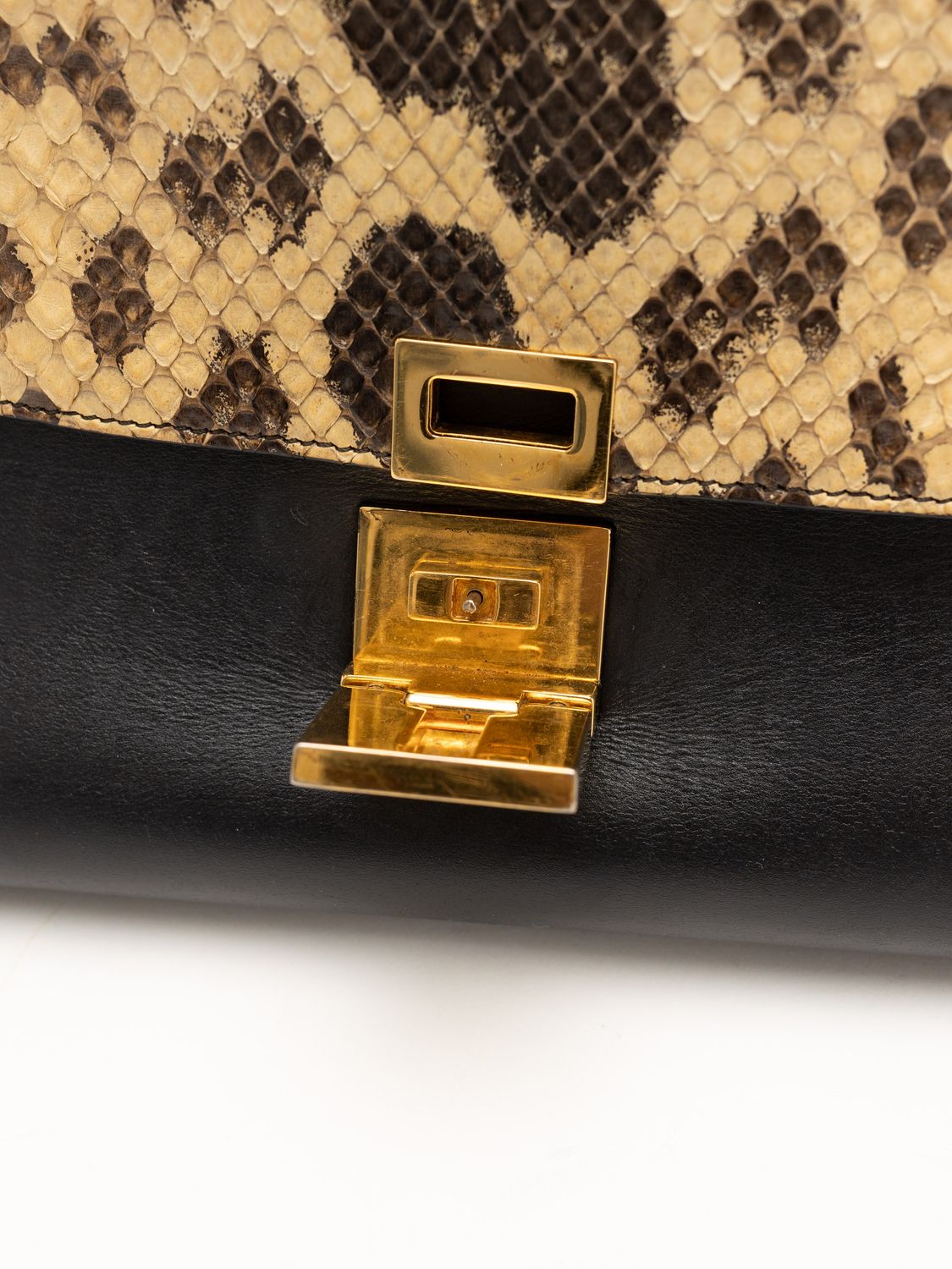 Céline Trapeze Python Bag