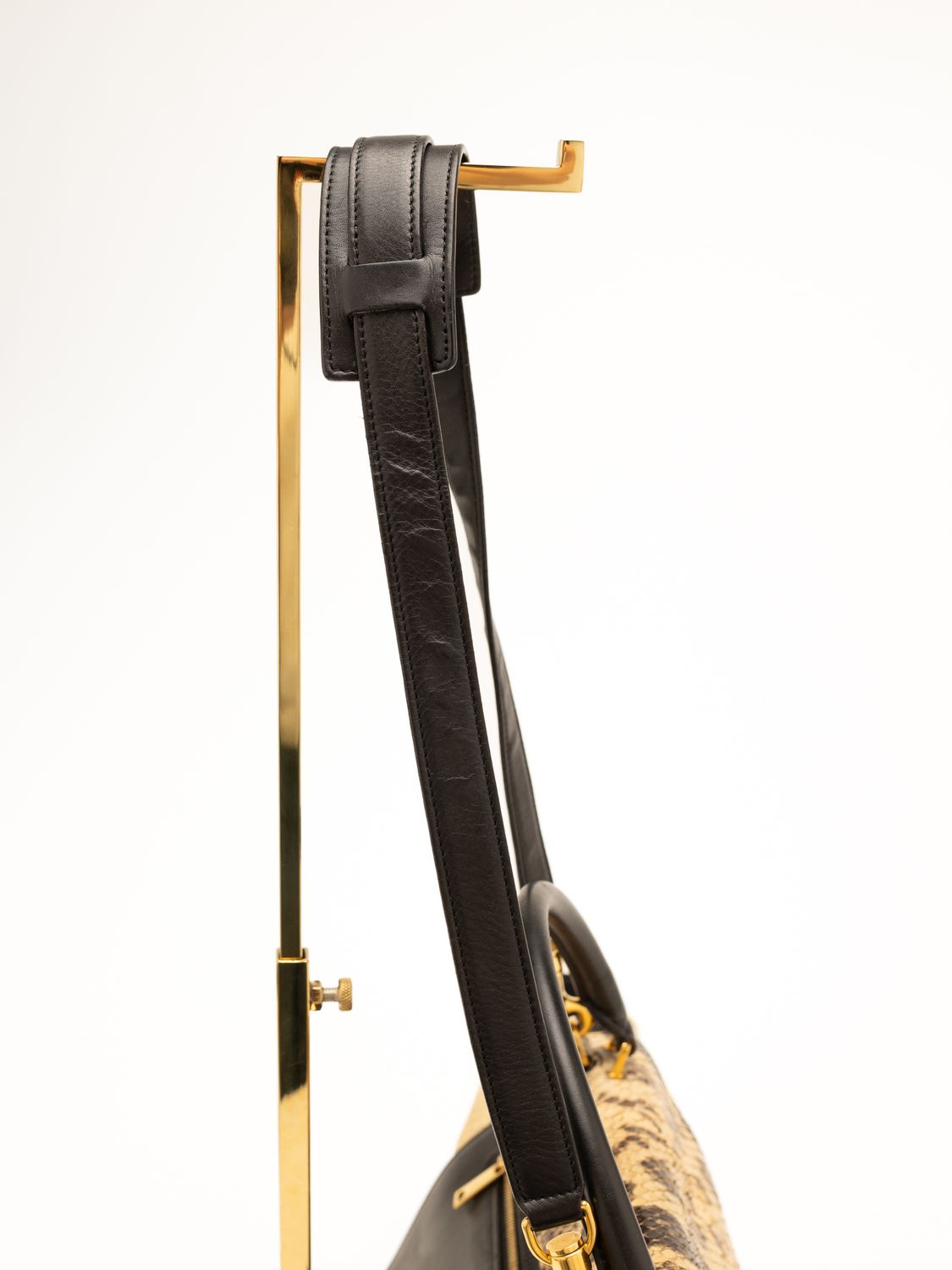 Céline Trapeze Python Bag