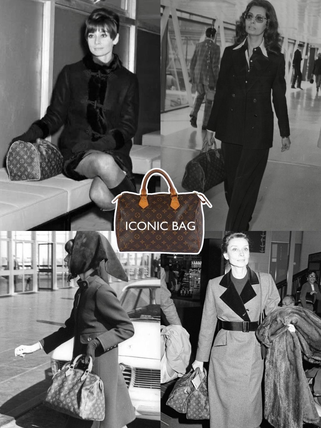 Louis Vuitton Speedy 30 Bag