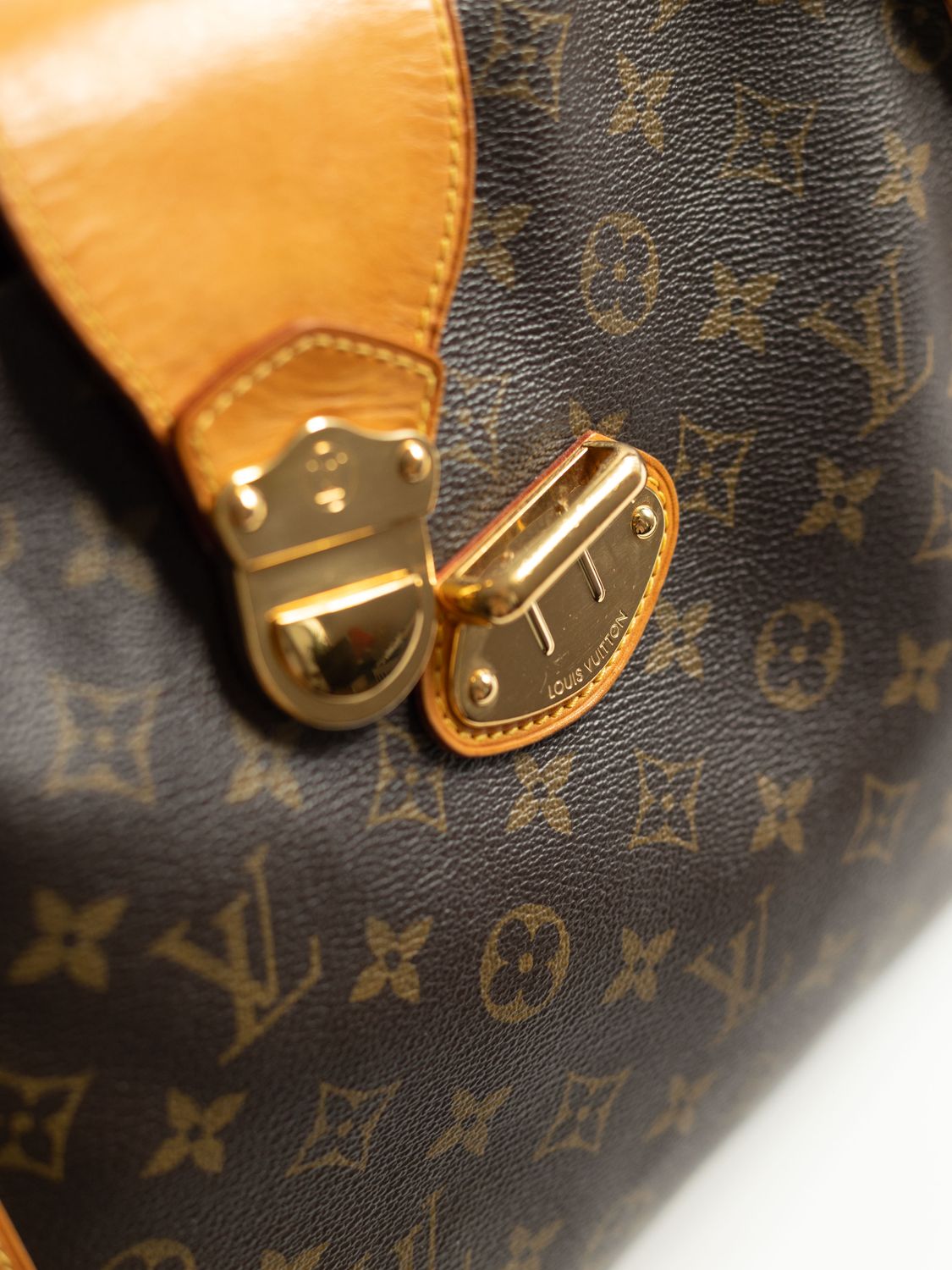 Louis Vuitton Stresa Bag