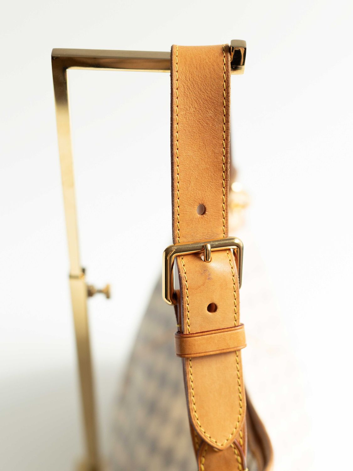 Louis Vuitton Galliera Bag