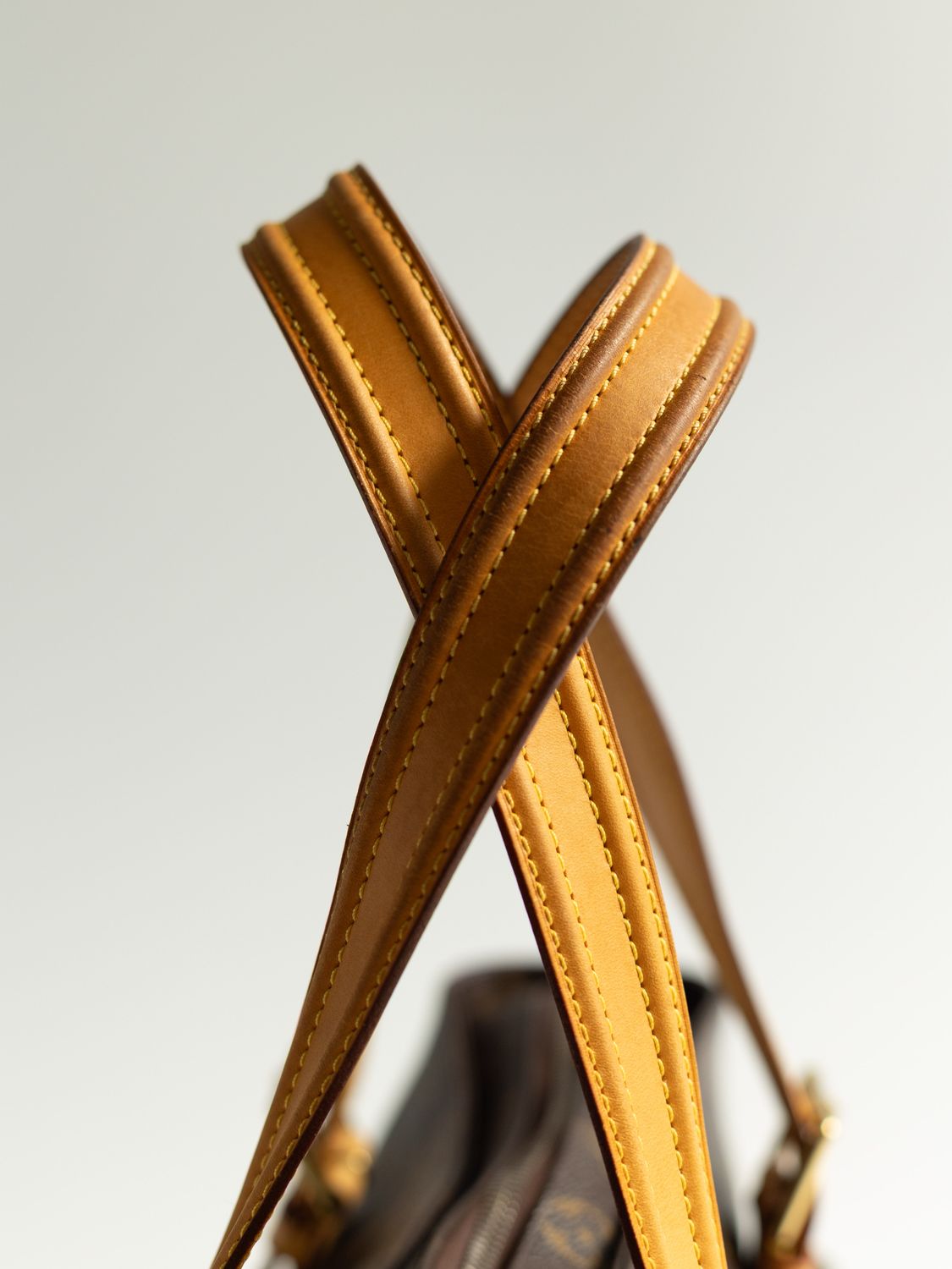 Louis Vuitton Multipli Cité Bag