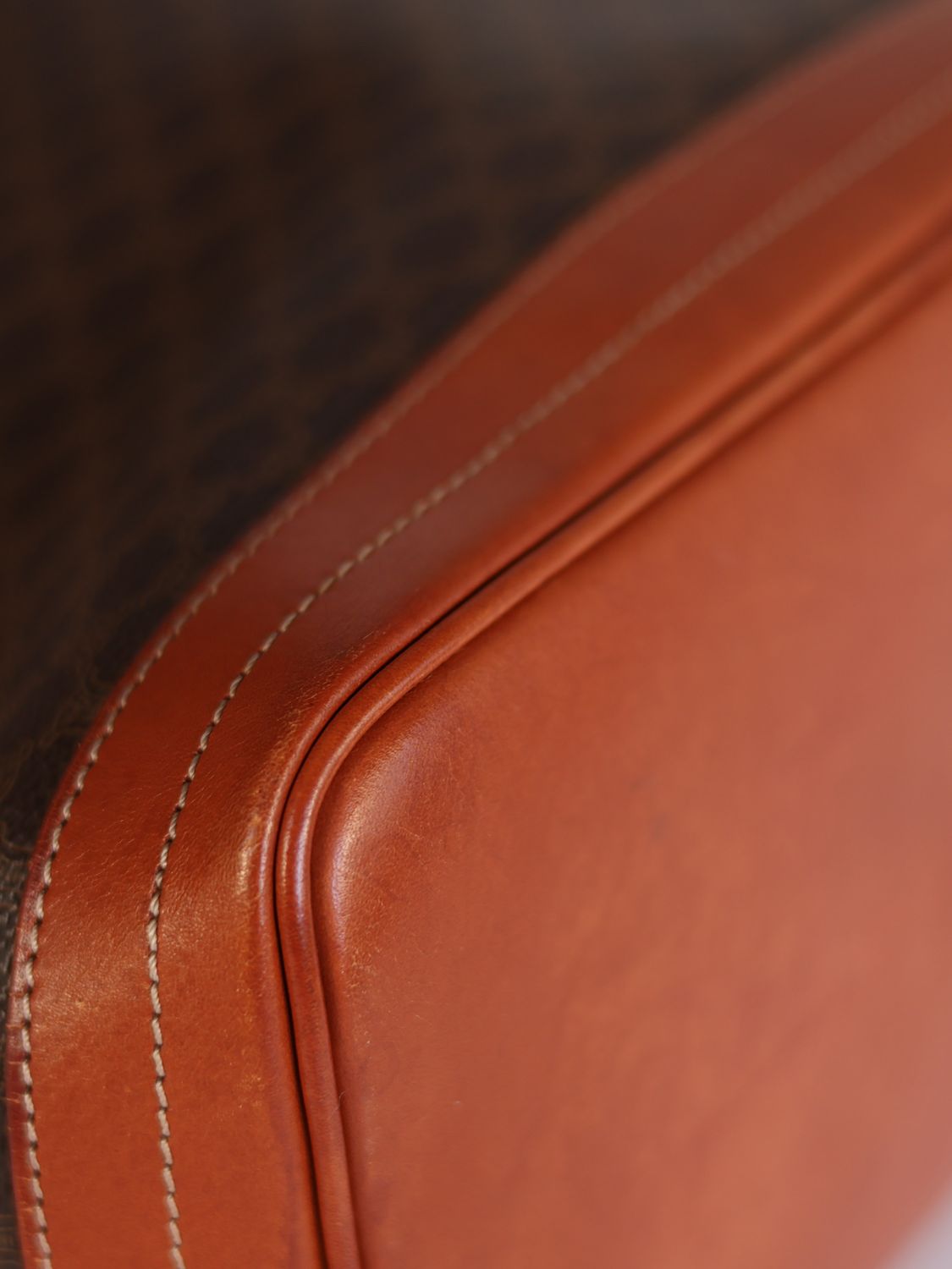 Celine Triomphe Canvas Bucket Bag