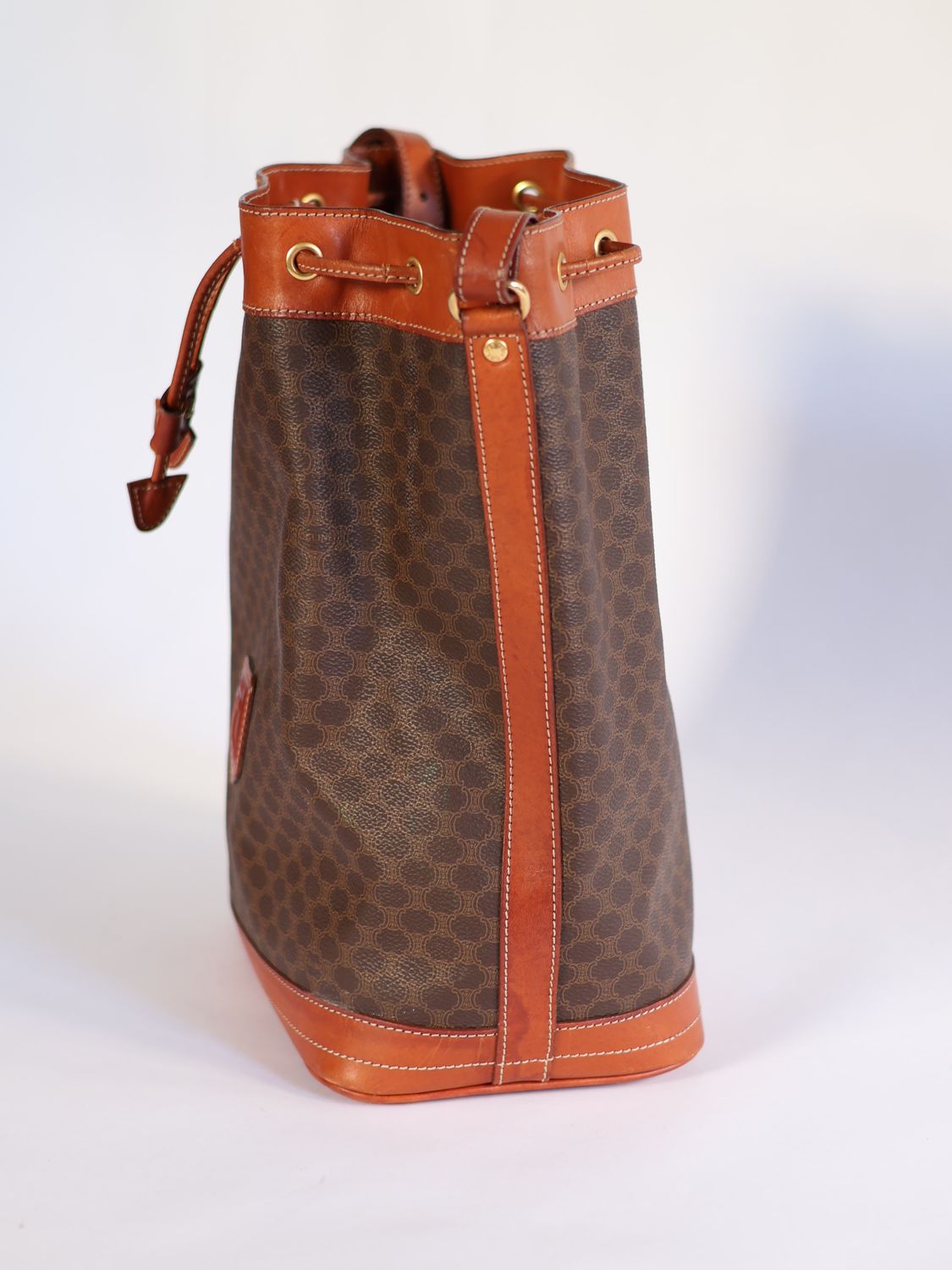 Celine Triomphe Canvas Bucket Bag