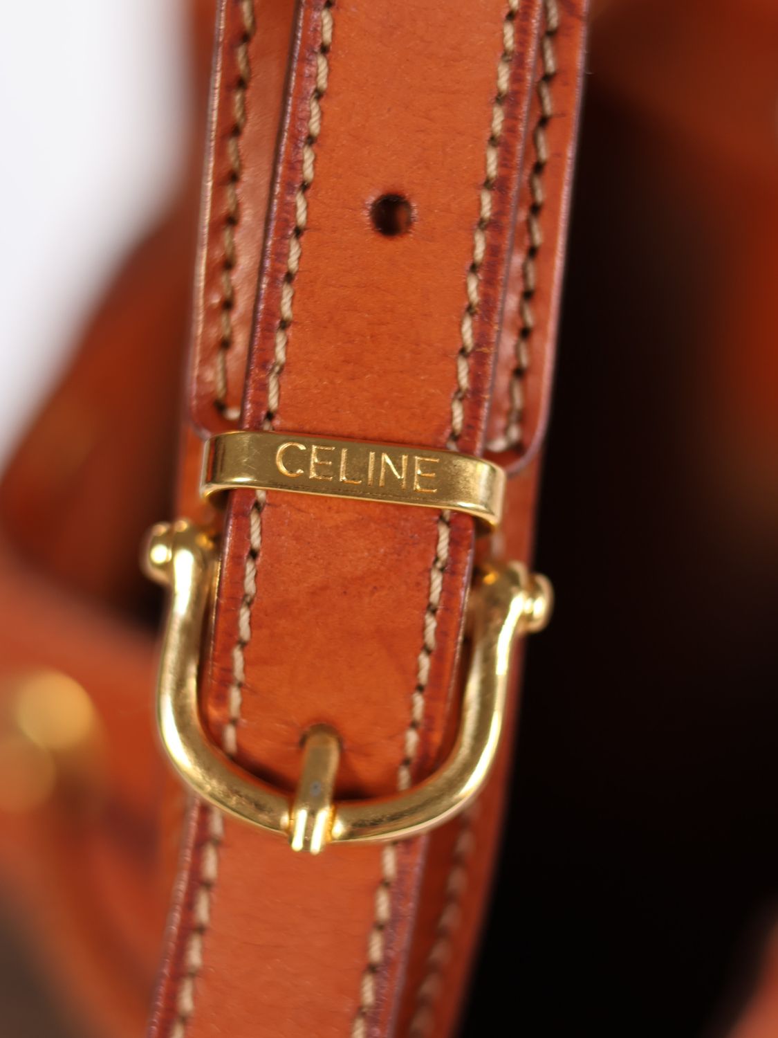 Celine Triomphe Canvas Bucket Bag