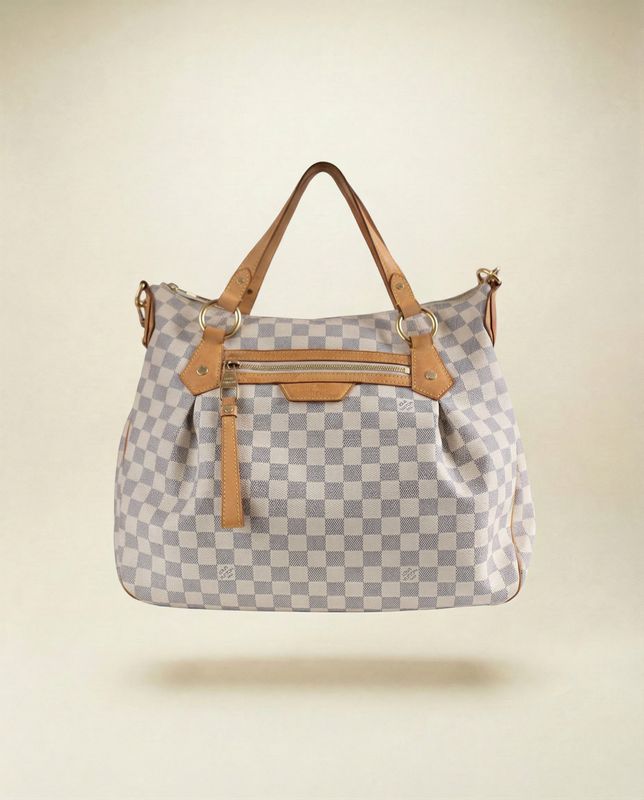 Louis Vuitton Evora MM Bag