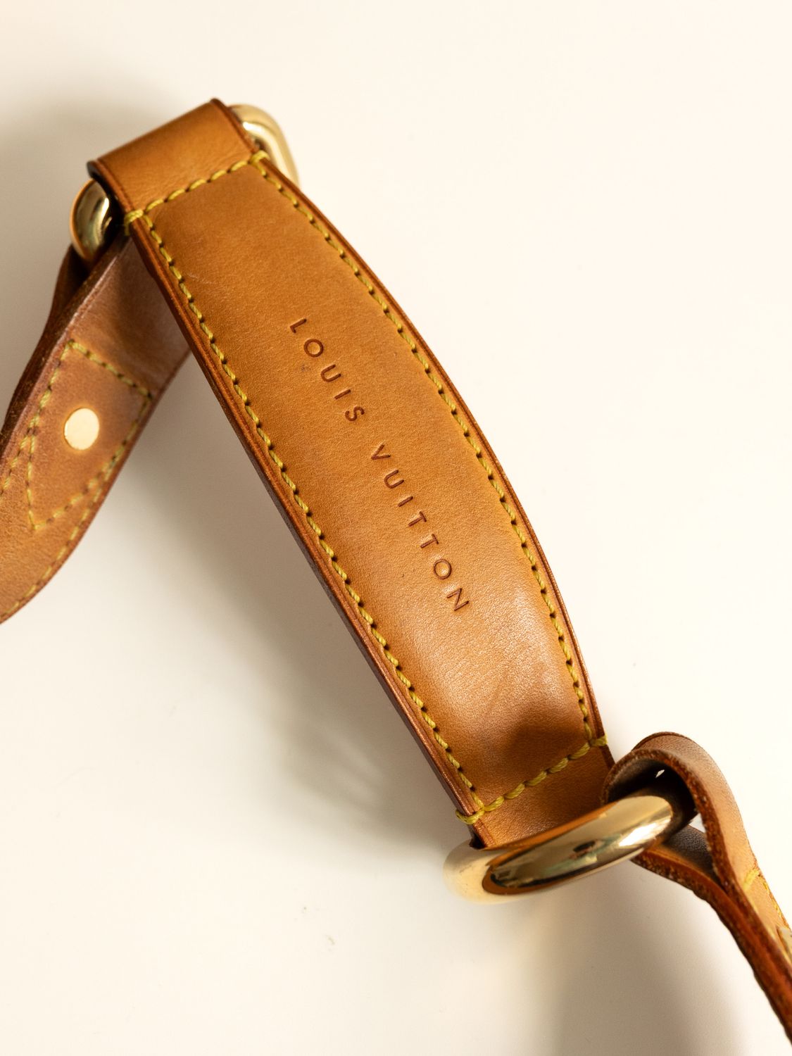 Louis Vuitton Tulum GM Bag