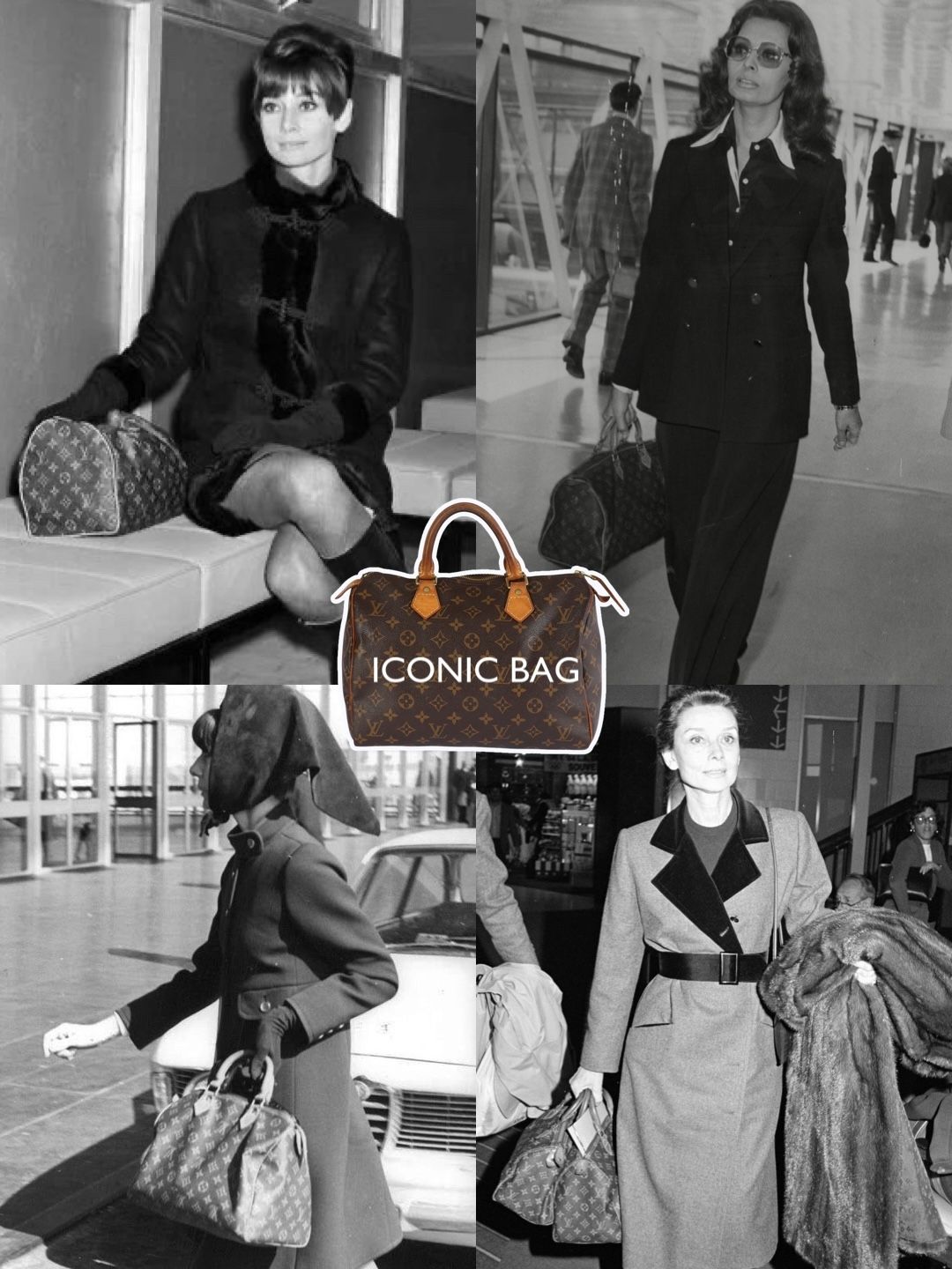 Louis Vuitton Speedy 30 Bag