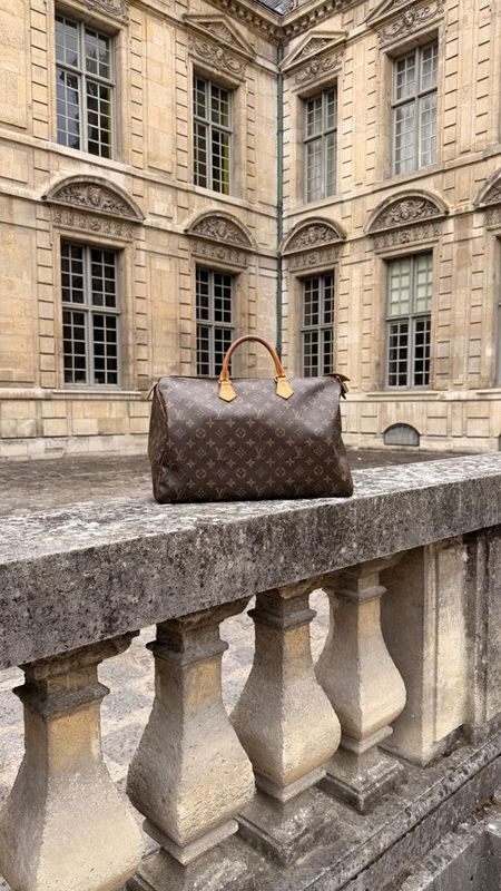 Louis Vuitton Speedy 35 Bag
