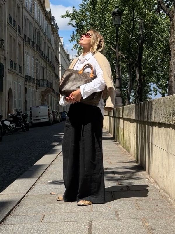 Louis Vuitton Speedy 40 Bag