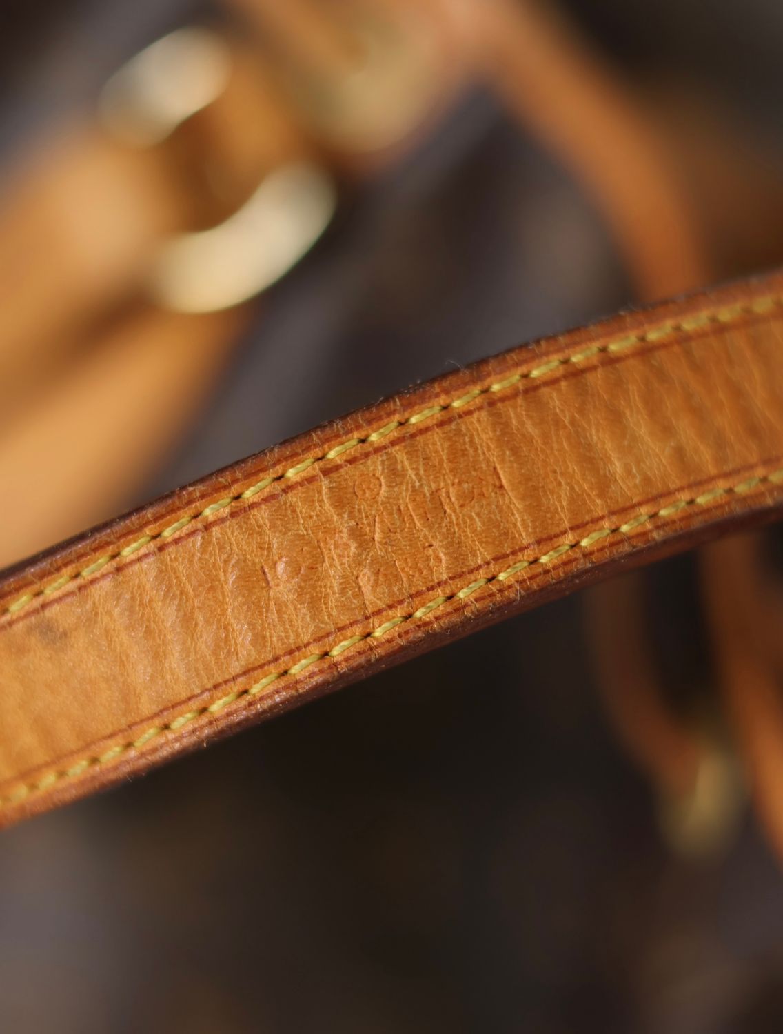 Louis Vuitton Noe PM Bag