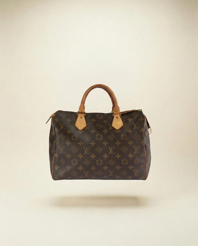 Louis Vuitton Speedy 25 Bag