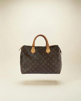 Louis Vuitton Speedy 25 Bag