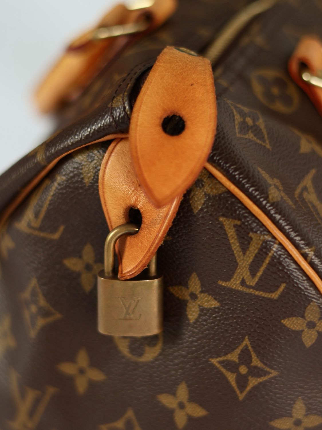 Louis Vuitton Speedy 25 Bag