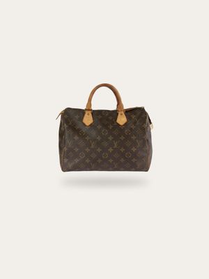 Louis Vuitton Speedy 25 Bag
