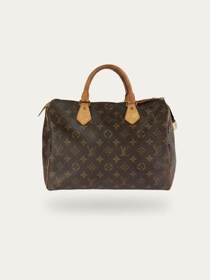 Louis Vuitton Speedy 25 Bag Louis Vuitton Speedy 25 Bag