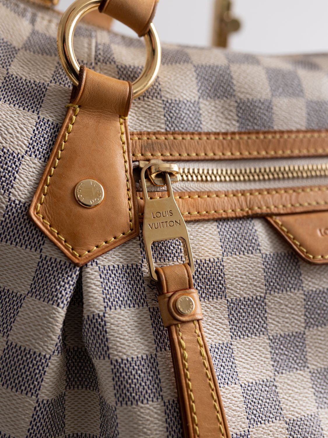 Louis Vuitton Evora MM Bag